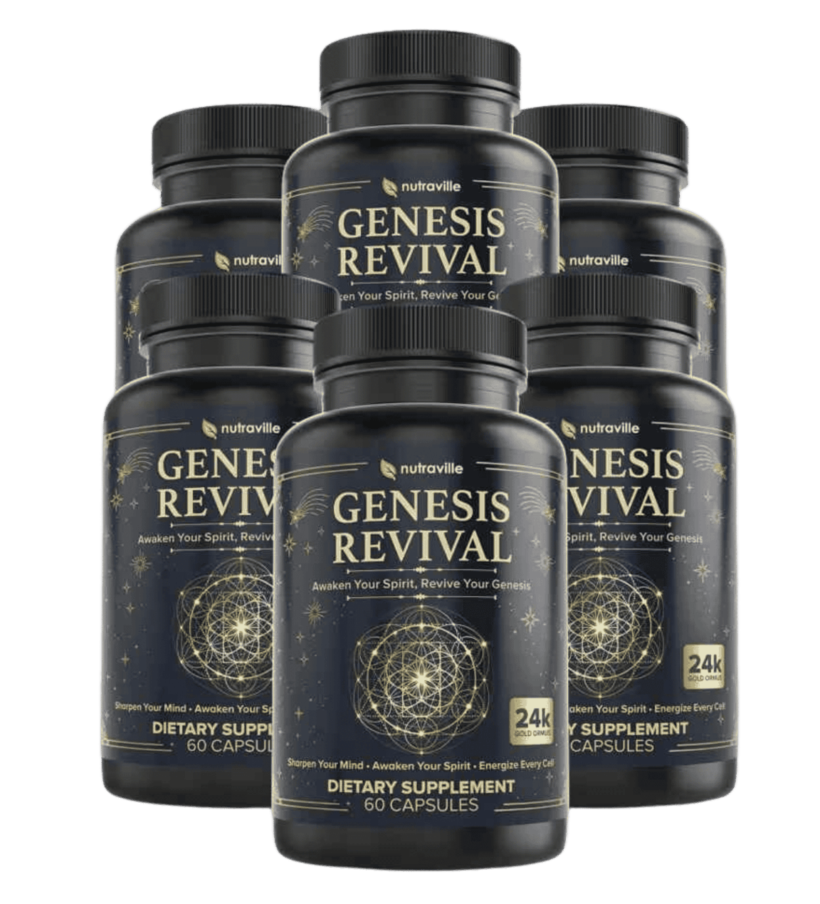 Genesis Revival 6 bottle 